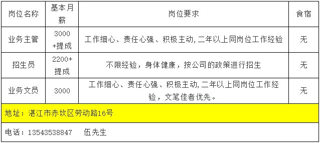 湛江招聘网最新招聘,湛江招聘网最新招聘动态深度解析