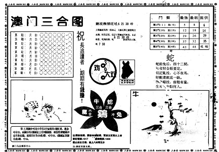 7777788888王中王中特,7777788888王中王中特，探索数字背后的神秘与魅力