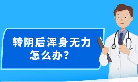 新澳精准资料免费提供最新版,新澳精准资料最新版的免费提供及其重要性