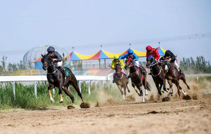 2024今晚香港开特马,今晚香港开特马，探寻赛马运动的魅力与香港赛马文化的发展脉络