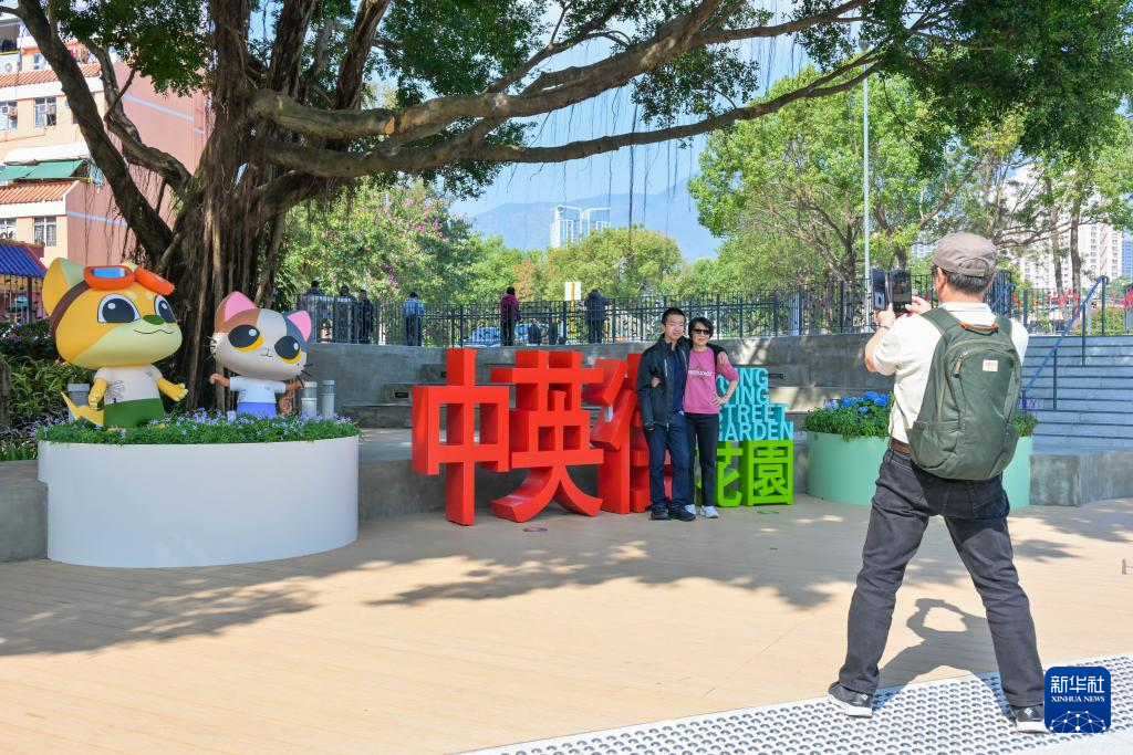 香港内部免费资料期期准,香港内部免费资料期期准，深度探索与理解