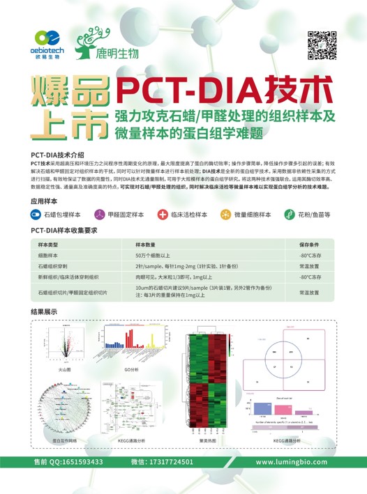 新奥精准资料免费提供510期,新奥精准资料免费提供510期，深度解析与前瞻性展望