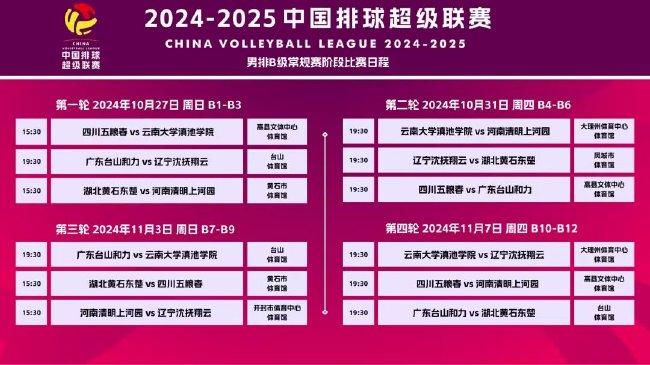 新澳门天天彩2025年全年资料,新澳门天天彩2025年全年资料解析与预测