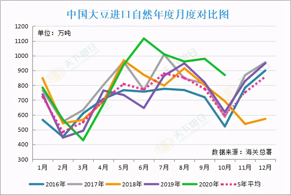 澳门今晚特马开什么号,澳门今晚特马开什么号，探索与预测