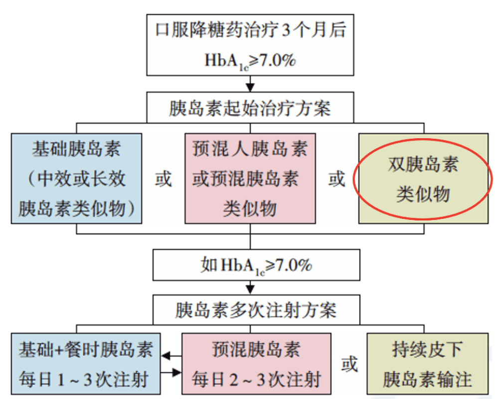 新奥彩2025最新资料大全,新奥彩2025最新资料大全，深度解析与预测