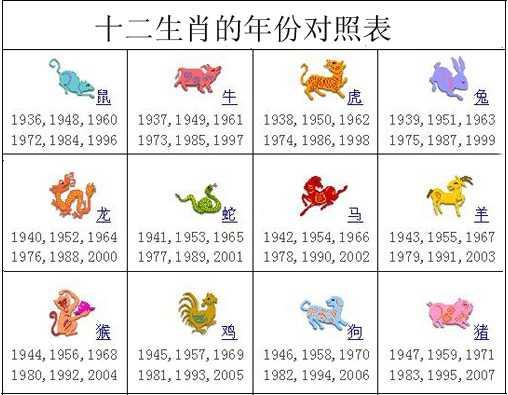 2025十二生肖49个码,揭秘十二生肖与数字密码，探寻2025年49个码背后的奥秘