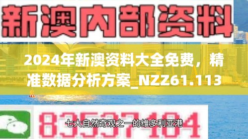 2025年2月17日 第33页