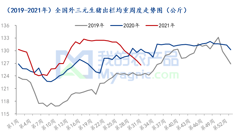 2025年2月21日 第23页