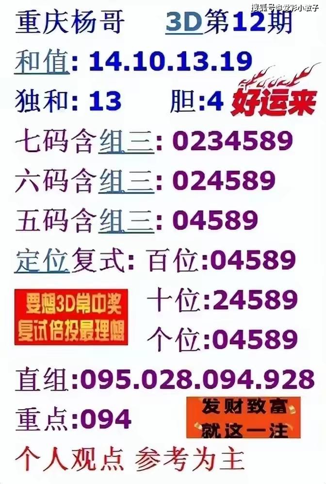 王中王王中王免费资料一057期 03-15-38-45-48-49F：45,王中王免费资料一057期，探索未知，揭秘神秘数字组合的魅力