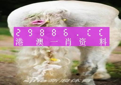 澳门平特一肖100%准资手机版下载058期 02-05-07-16-24-29B：39,澳门平特一肖100%准资手机版下载，探索与解析第058期的奥秘