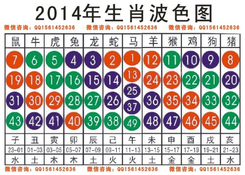 2025十二生肖49码表071期 08-09-10-15-27-35C：15,探索十二生肖与数字世界的神秘联系——以十二生肖49码表为例，解析未来彩票号码趋势（第071期）